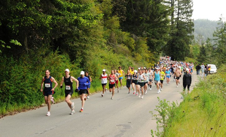 THE AVENUE OF THE GIANTS MARATHON - Maraton Info - World Marathons